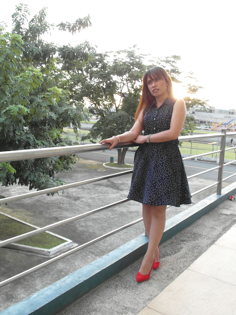 BNY Navy Blue Sleeveless Woven Skater Dress